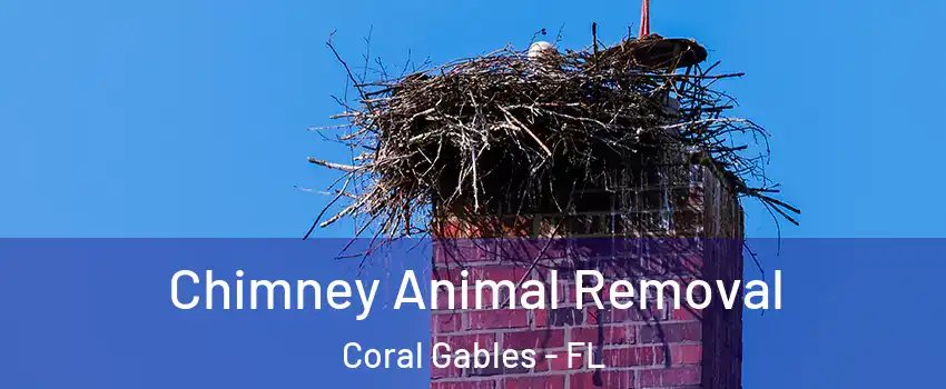 Chimney Animal Removal Coral Gables - FL