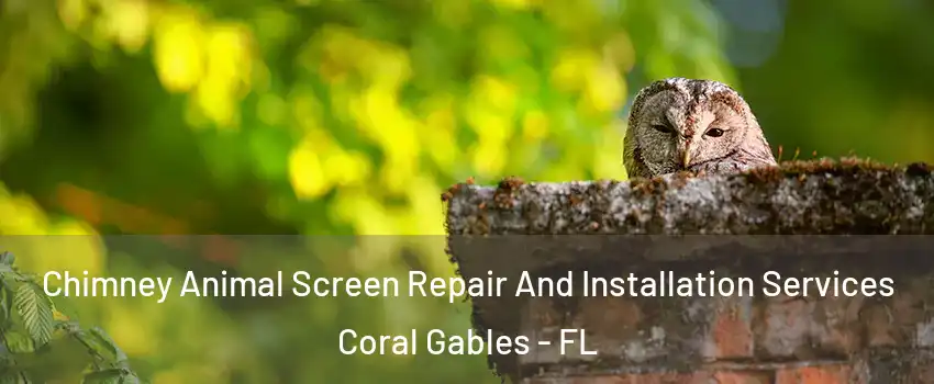  Chimney Animal Screen Repair And Installation Services Coral Gables - FL