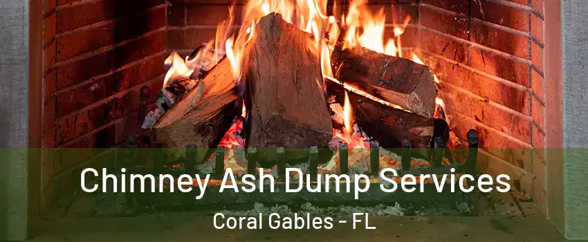  Chimney Ash Dump Services Coral Gables - FL