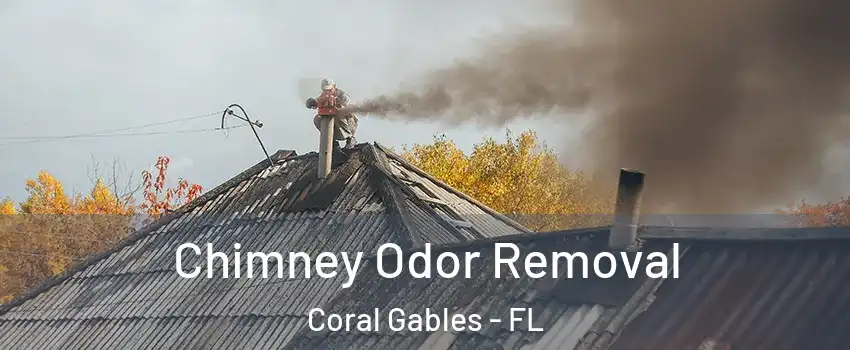  Chimney Odor Removal Coral Gables - FL