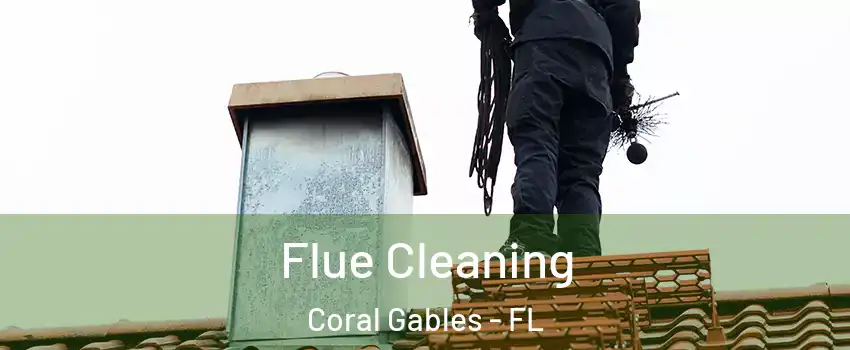  Flue Cleaning Coral Gables - FL