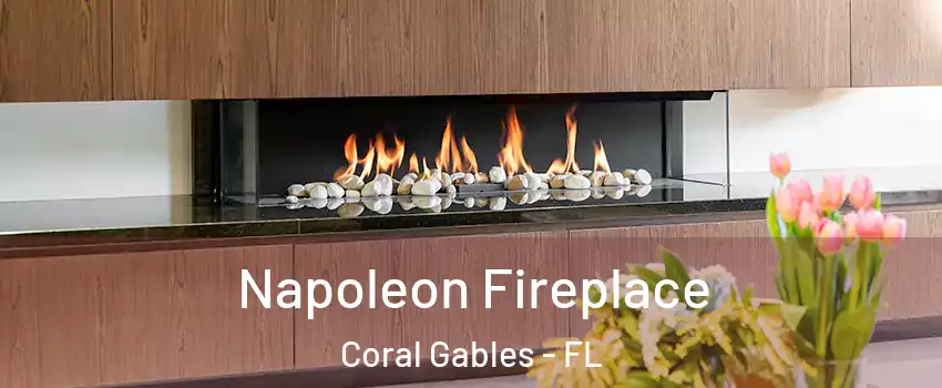  Napoleon Fireplace Coral Gables - FL
